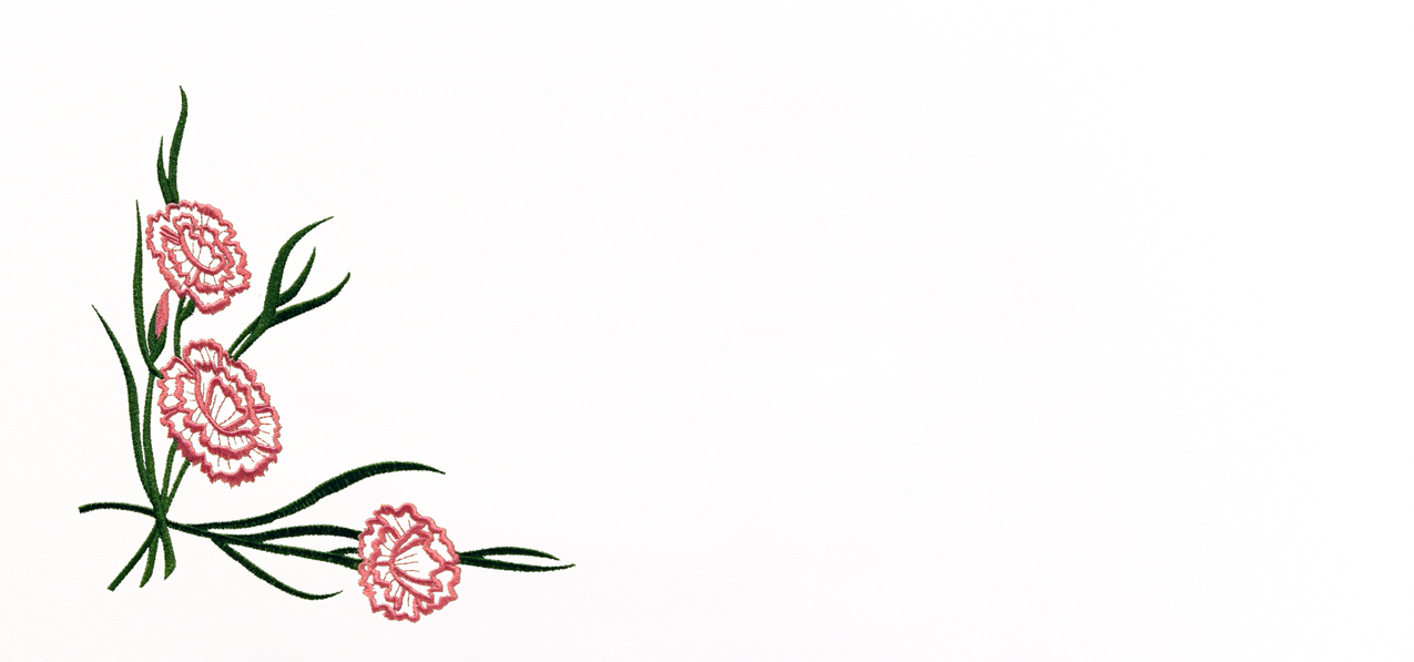 Carnation Pink-White